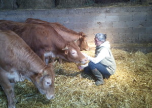 Mélanie Hoff caresse une vache